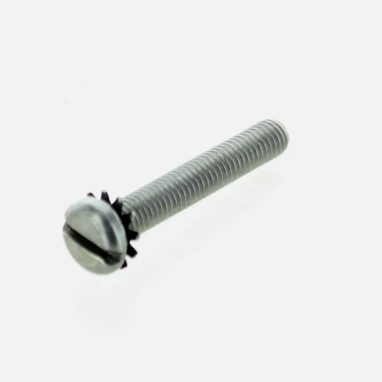 Evinrude Johnson OMC 0310686 - Screw