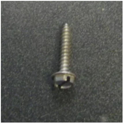 Evinrude Johnson OMC 0310981 - Screw