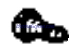Evinrude Johnson OMC 0311487 - Screw, Shifter Lock