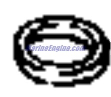 Evinrude Johnson OMC 0313497 - Washer