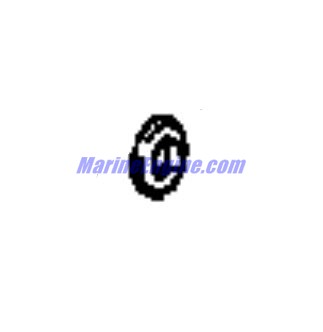 Evinrude Johnson OMC 0313722 - Washer
