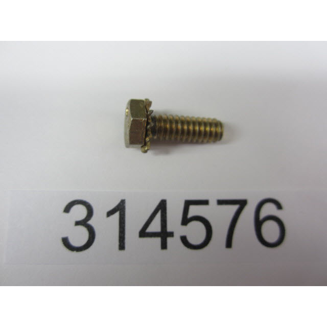 Evinrude Johnson OMC 0314576 - Screw