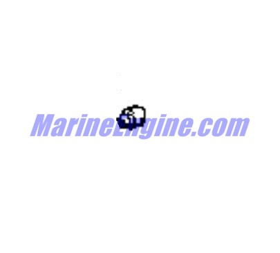 Evinrude Johnson OMC Evinrude Johnson OMC OMC0316128
0316128