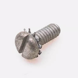 Evinrude Johnson OMC 0316530 - Screw