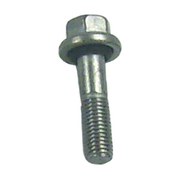 Evinrude Johnson OMC 0316563 - Screw