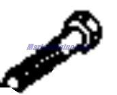 Evinrude Johnson OMC 0316907 - Screw