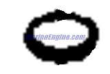 Evinrude Johnson OMC 0316991 - Expansion Plug, Nozzle Well