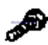 Evinrude Johnson OMC 0317400 - Screw