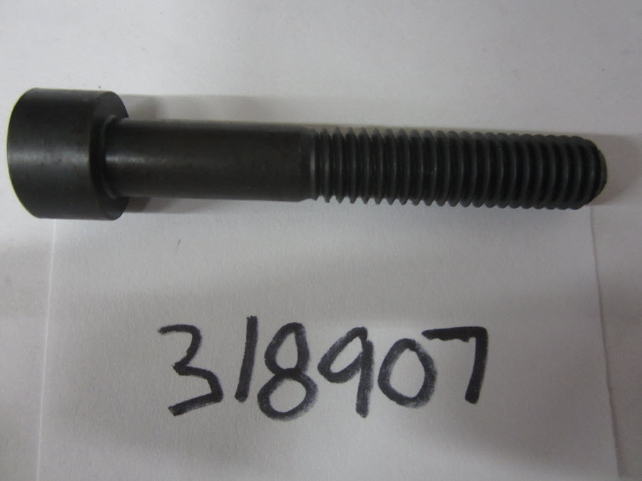 Evinrude Johnson OMC 0318907 - Screw