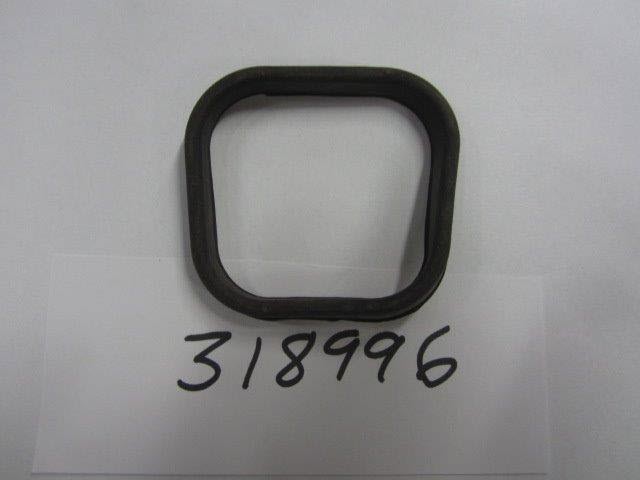 Evinrude Johnson OMC Evinrude Johnson OMC OMC0318996
0318996