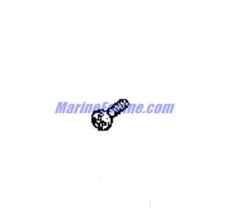 Evinrude Johnson OMC 0319125 - Screw