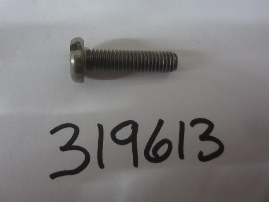 Evinrude Johnson OMC 0319613 - Screw