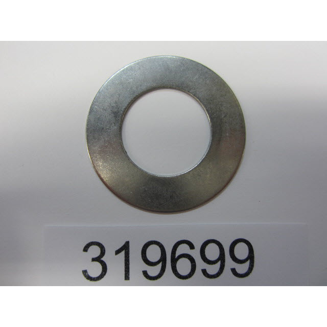 Evinrude Johnson OMC 0319699 - Washer