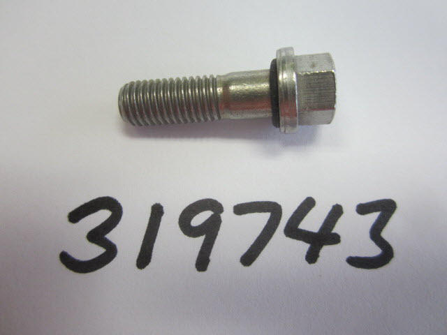 Evinrude Johnson OMC 0319743 - SST Screw