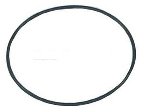 Evinrude Johnson OMC 0321163 - O-Ring