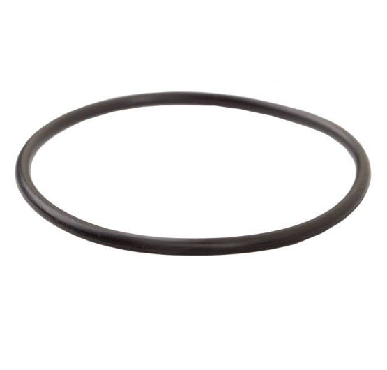 Evinrude Johnson OMC 0322494 - O-Ring