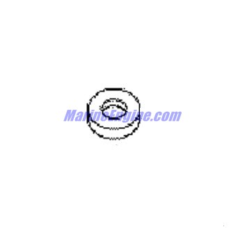 Evinrude Johnson OMC 0323972 - Washer