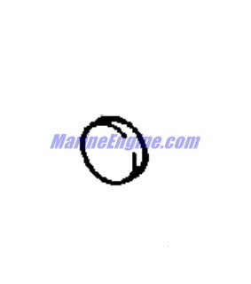 Evinrude Johnson OMC 0326230 - Washer - Plug