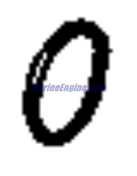 Evinrude Johnson OMC 0326346 - Quad Ring