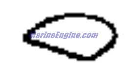 Evinrude Johnson OMC 0328007 - Seal Ring