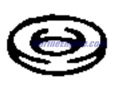 Evinrude Johnson OMC 0329171 - Seal