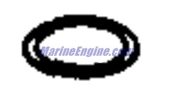 Evinrude Johnson OMC 0329292 - Support Ring