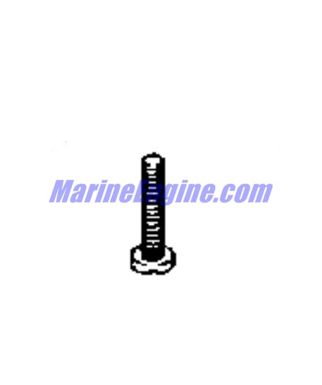 Evinrude Johnson OMC 0329513 - Screw