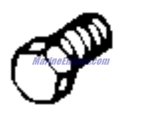 Evinrude Johnson OMC 0329885 - Screw