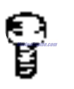 Evinrude Johnson OMC 0332343 - Screw