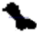 Evinrude Johnson OMC 0332957 - Tilt Lock Lever