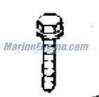 Evinrude Johnson OMC 0335220 - Screw