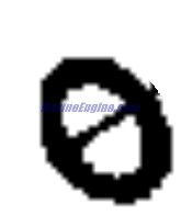 Evinrude Johnson OMC 0335662 - O-Ring - Piston Pump