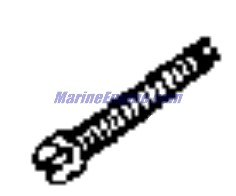 Evinrude Johnson OMC Evinrude Johnson OMC OMC0335762
0335762