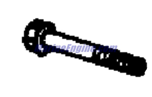 Evinrude Johnson OMC 0336199 - Screw