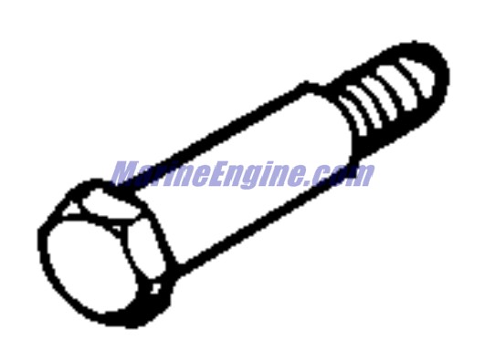 Evinrude Johnson OMC 0336482 - Screw