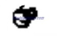 Evinrude Johnson OMC 0336874 - Screw
