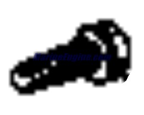 Evinrude Johnson OMC 0337096 - Screw