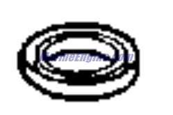 Evinrude Johnson OMC Evinrude Johnson OMC OMC0337235
0337235
