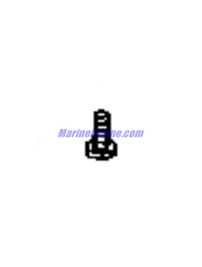 Evinrude Johnson OMC 0338317 - Screw