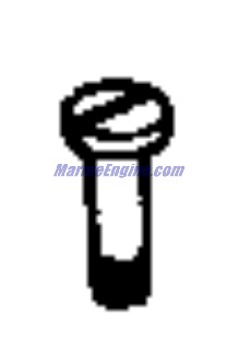 Evinrude Johnson OMC 0339043 - Screw