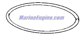 Evinrude Johnson OMC 0339390 - SEAL