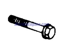Evinrude Johnson OMC Evinrude Johnson OMC OMC0339817
0339817