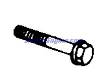 Evinrude Johnson OMC 0339817 - SCREW,