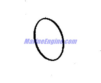 Evinrude Johnson OMC 0339871 - O-Ring