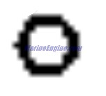 Evinrude Johnson OMC Evinrude Johnson OMC OMC0340357
0340357