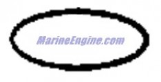 Evinrude Johnson OMC 0340516 - O-Ring