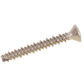 Evinrude Johnson OMC 0340665 - Screw
