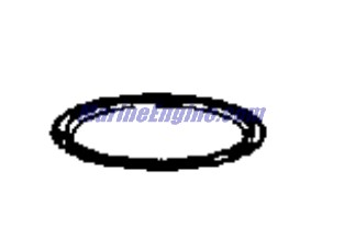 Evinrude Johnson OMC Evinrude Johnson OMC OMC0341988
0341988