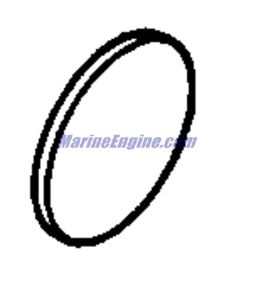 Evinrude Johnson OMC Evinrude Johnson OMC OMC0343373
0343373