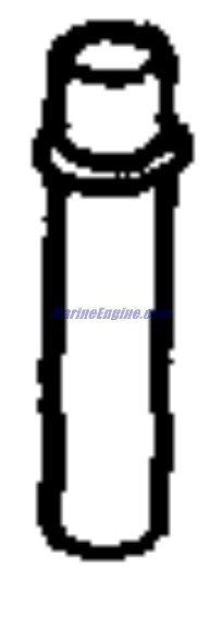 Evinrude Johnson OMC Evinrude Johnson OMC OMC0343448
0343448